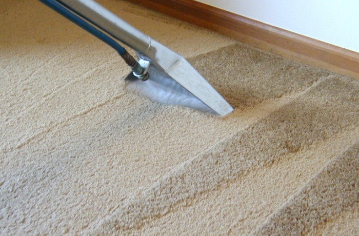 Limpeza de Carpete